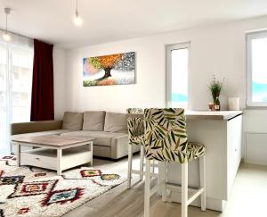 Brasov Urban Experience