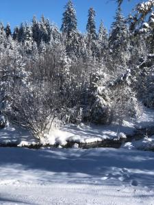Zaśnieżony Domek przy Dolinie Chochołowskiej
