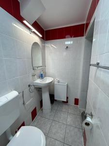 Vila Artemis Straja