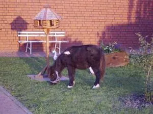 Fewo Tannenhof - Vollrathsruhe