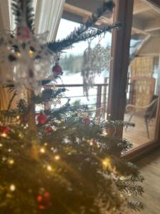 Babcia Góralka house