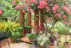 Rock Inn Bailan - Csang-sziget