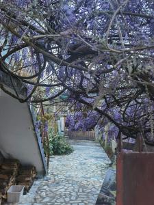 Pilgrims Rest - Vila Nova de Cerveira - Hostel - Albergue - AL