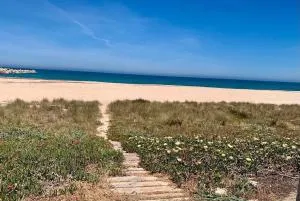 Paz y desconexión - Molinell