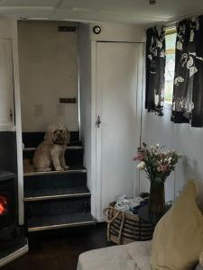 Narrow Boat moored in London