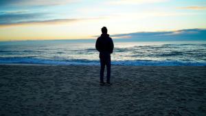 Mas Des Fleurs - Mimosa