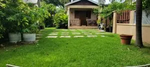 Green Monkey Cottage - Alexandra