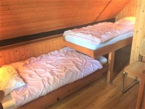 Cozy Holiday cottage at Ringkøbing Fjord