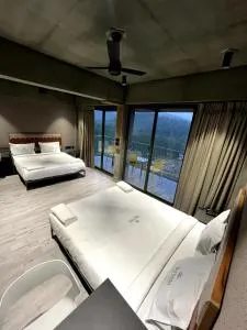 BEL VISTO - 博拉吉