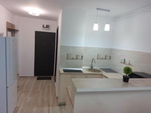 RG Garsoniera Central