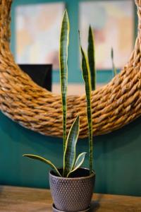 Rainforest Retreat 20m to NYC FREE Parking - Sleeps 16