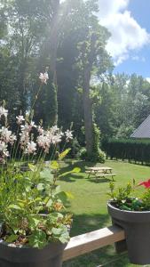 B&B / Chambres d'hotes L'hothentique proche Arras : photos des chambres