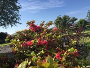 Killarney Farm House.