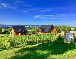 Winnica Nad Źródłem - Domki w winnicy z kominkami i tężniami - Pawłów