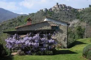 Casa Giusti - Vellano, Pescia, Pistoia - Macchino