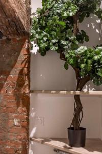 Appartements Le Saint-Georges : photos des chambres