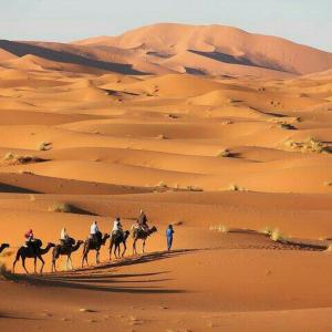 Best Desert Luxury Camp