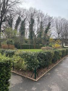 Appartements L'Orlysia - Proche Paris et centre-ville : photos des chambres