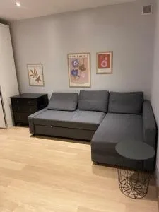 AS Apartament szpital Kopernika Szpital Matki Polki Ptak Mandoria Orientarium Atlas Arena Fala Plac zabaw- Ciasna 14 bezpłatny parking - Chocianowice