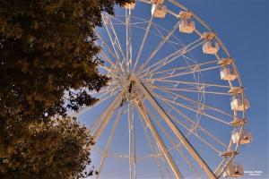 CENTRAL MONO - Premium Villas