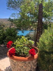 Villa More 3 Apartments A-10, A-11 and A-12 , 4-4-6 Beds