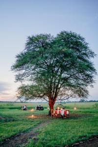 Zawadi Serengeti camp