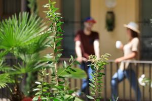 Hotels Matabi Hotel Toulouse Gare by HappyCulture : photos des chambres