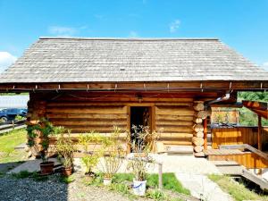 Naturstammhaus Pauker