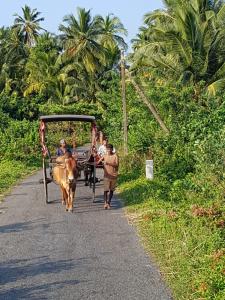 Star Home Stay Bentota