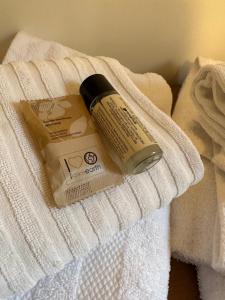 The Vatican Jungle loft con giardino vicino al Vaticano