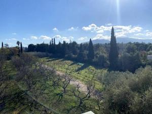 Luxury 4BR with 3 Bathrooms Apartment in Marousi