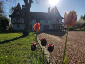 Villas Demeure du Haut Canteloup : photos des chambres