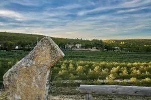 Finca Heredad La Boquilla - Enguera