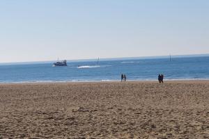En rez-de-chaussée - terrasse & Piscine Chauffée