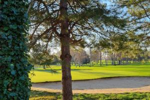 Appartements Le GREEN 2 : photos des chambres
