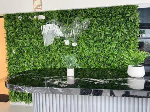 Apartamento en Barranco