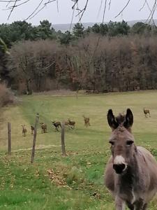 Gîte 4 pers proche cure thermale, Futuroscope, calme et nature à La Roche Posay