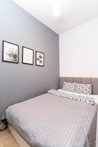 krakow dream apartment