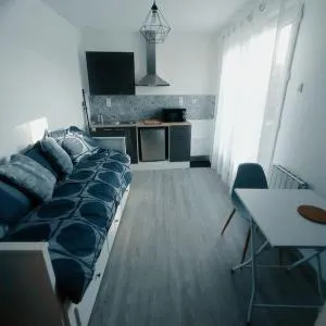 T'Relax - Studio calme et lumineux avec jardin - 普里西尼