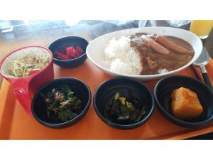 My Hotel Okazaki - Vacation STAY 40795v