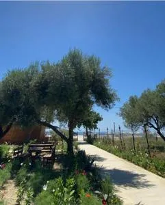 Violet Village - 博尔什