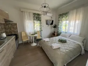 Olive Studio & Apartments - Chrysoupolis