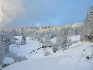 Gîte familial à Cornimont avec Wifi et parking - FR-1-589-84 - 蒂福斯