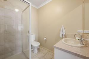 Happy Paws Bright Hideaway