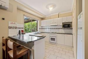 Happy Paws Bright Hideaway