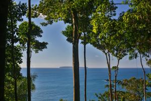 Corcovado Wilderness Lodge by SCP