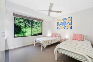 Boomerang Breeze Number One