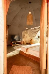 Domes and Dreams Lio Glamping