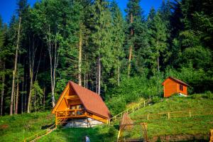 One-Bedroom Cottage room in Osonnya Karpaty