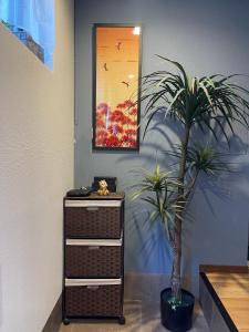 Namba Shinsaibashi 10 mins Reiko guest house